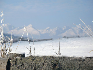 Image showing Log fence