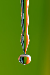 Image showing Colored Drop