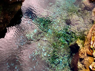 Image showing coins at bottom of river