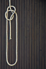 Image showing knot