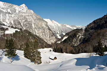 Image showing Winter Scene