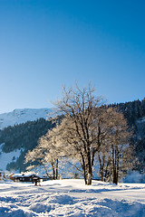 Image showing Winter Morning