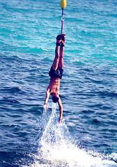 Image showing Bungee jumping