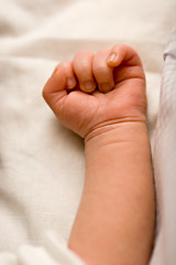 Image showing Baby Arm