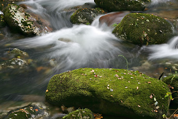 Image showing Stream