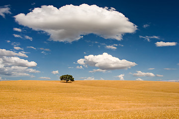 Image showing Summer Scene