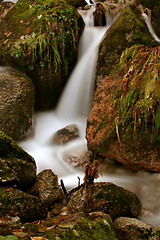 Image showing Stream