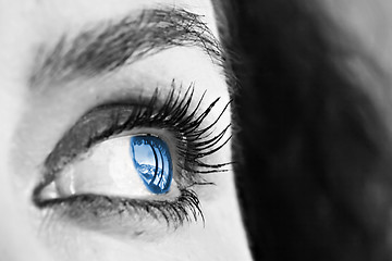 Image showing Blue Eye