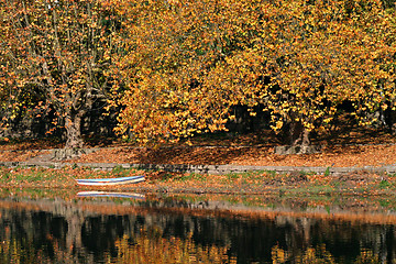 Image showing Autumn Scene