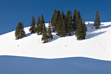 Image showing Winter Scene