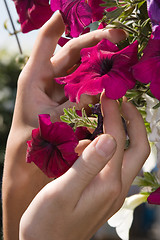 Image showing styling, flower in hand