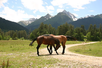 Image showing ridge Caucasus Mountains, Ãîðû Êàâêàçà