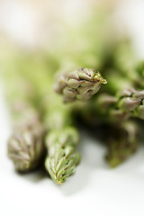 Image showing Green asparagus