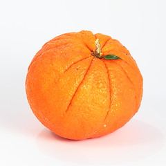 Image showing Orange fruit