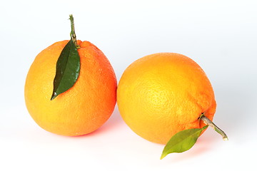 Image showing A pair of oranges