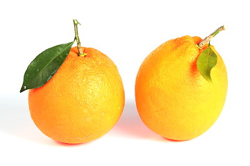 Image showing Two oranges