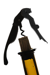 Image showing Corkscrew Silhouette