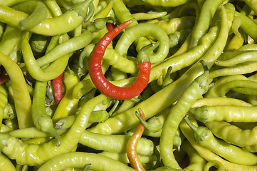 Image showing Chilli peppers