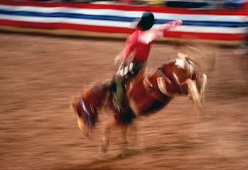 Image showing Rodeo