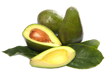 Image showing avocado fruit on a white background 