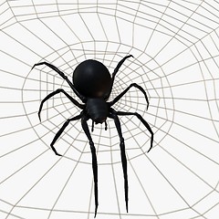 Image showing Black Widow Spider