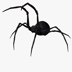 Image showing Black Widow Spider