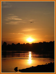 Image showing GOLDEN SUNSET