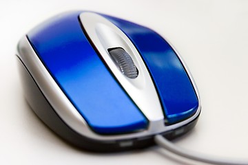 Image showing Blue mouse