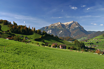 Image showing Green field