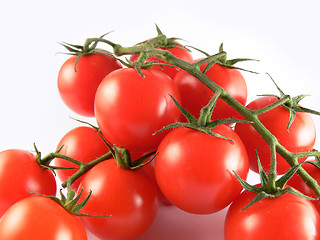 Image showing Tomatoe