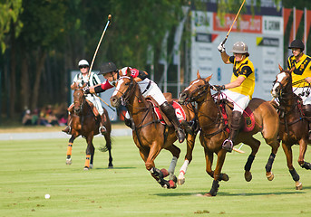 Image showing Thai Polo Open 2013 in Pattaya, Thailand