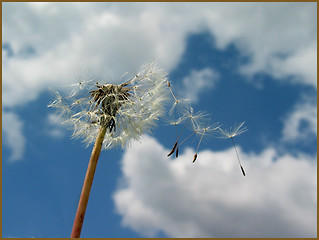 Image showing READY TO FLY