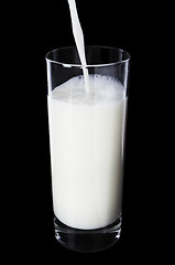 Image showing Milk