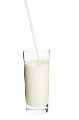 Image showing Milk