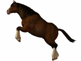 Image showing Charger Horse-Leap