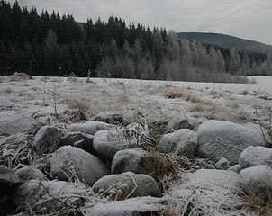 Image showing december landscape