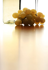 Image showing White Wine Abstract
