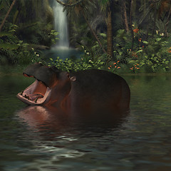 Image showing Hippopotamus