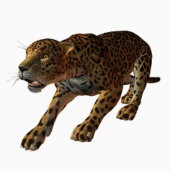 Image showing Jaguar