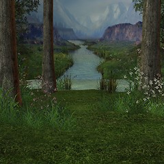 Image showing Forrest Background