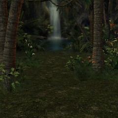 Image showing Forrest Background