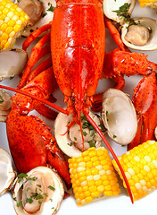Image showing Boiled lobster dinner with clams and corn