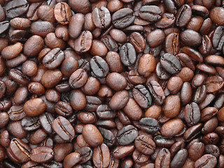 Image showing Freshly roasted coffee beans