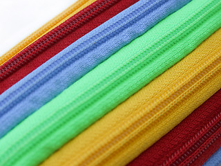 Image showing Zipper straps