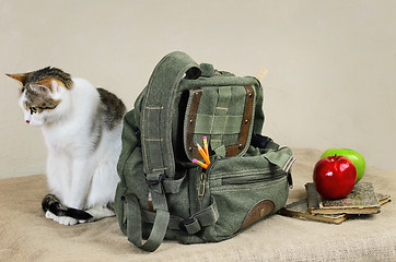 Image showing Cat And Backpack 