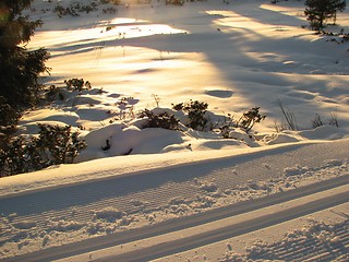 Image showing Cross country track