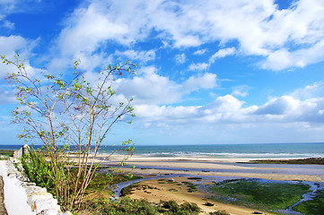 Image showing Landscape of Ria Formosa, Algarve