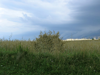 Image showing Haystack