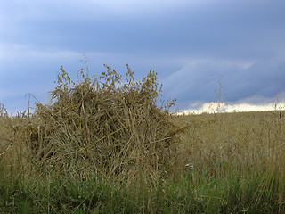 Image showing Haystack