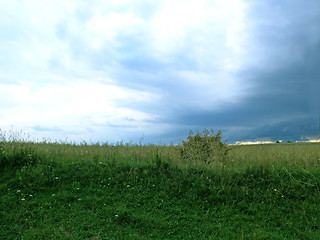 Image showing Haystack